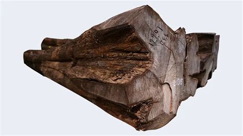 Nilambur Teak | Teak Varieties of Kerala | Kerala GI Tagged Products ...