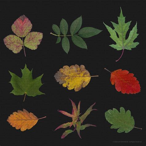 Sticker Store 的图像结果