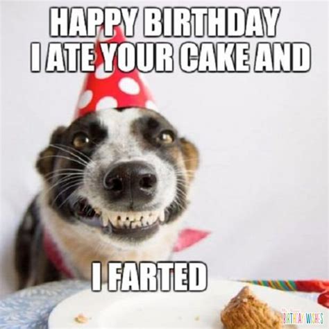 372 funny happy birthday memes wishes with pictures – Artofit