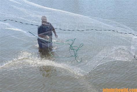 Image result for Catching Shiners with a Cast Net