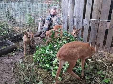 « Vous êtes en train de lui faire la morale ? » : le père de famille échangeait des « nudes ...