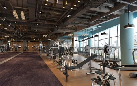 Image result for Gym Normal Distribution Example