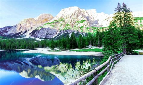 Nature Wallpaper 的图像结果