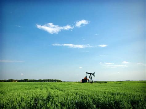Own Mineral Rights in Martin County Texas?
