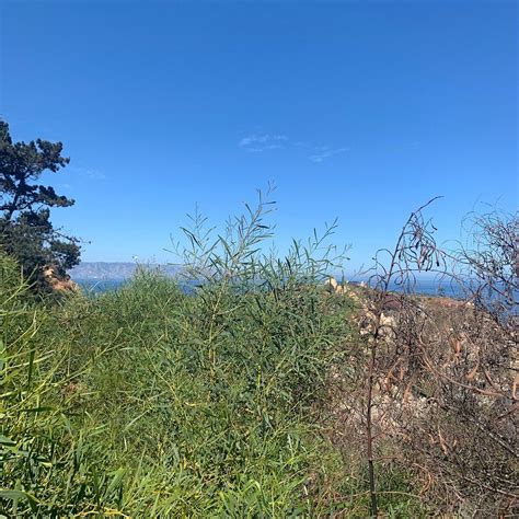 CONCON DUNES - All You Need to Know BEFORE You Go 2026 (with Photos ...