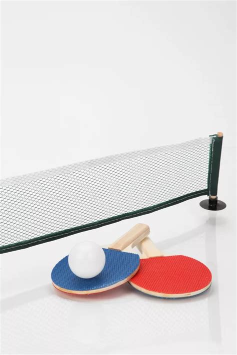 Ping Pong Computer Game 的图像结果