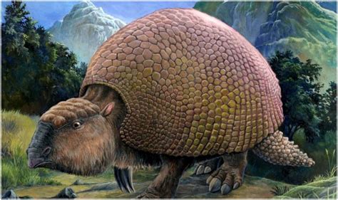 The Freakishly Giant 'Armadillos' who Lived Alongside Early Humans ...