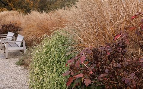 All types of plants - Waitrose Garden