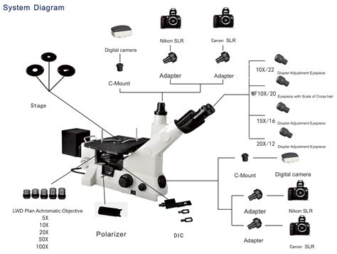 Image result for Inverted Light Microscope