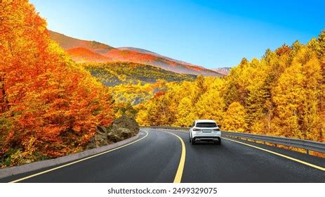 Image result for Python New Window