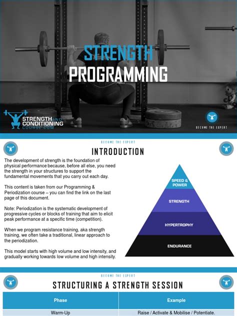 Personal Training Programming How To 的图像结果