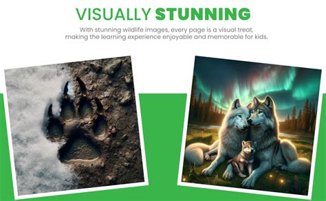 Image result for Wolves Book