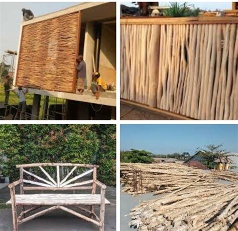 Kekurangan dan kelebihan kayu gelam - navigasiin