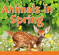 Image result for Spring Animals for Kids