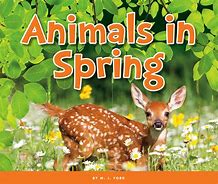 Image result for Spring Animals UK