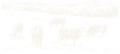 Ugam Agro
