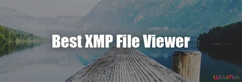 Image result for How to Open XMP Files