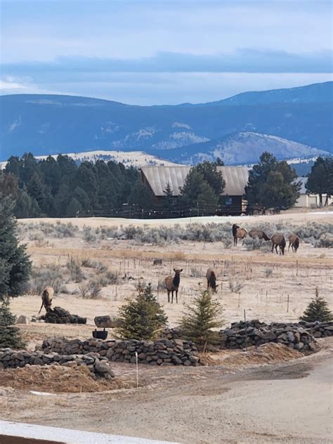 Show and Tell | Alveus Sanctuary