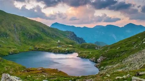 Image result for Telerik RadScriptManager