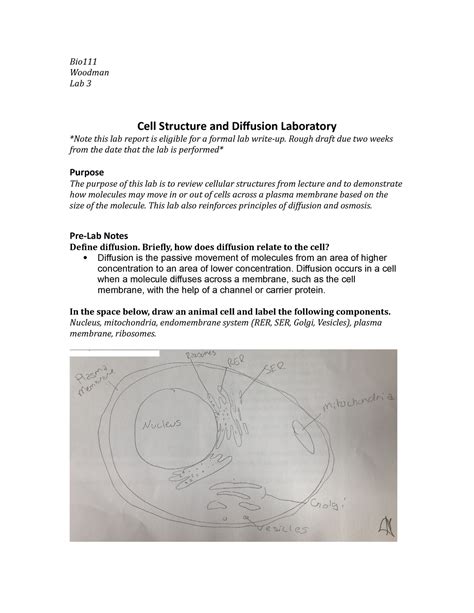 Image result for Cell Diffusion Lab