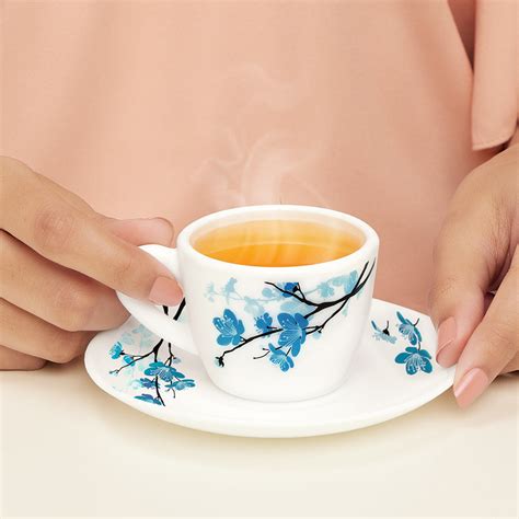 Buy Mimosa Cup & Saucer Set 140 ml x 4 at Best Price Online in India ...