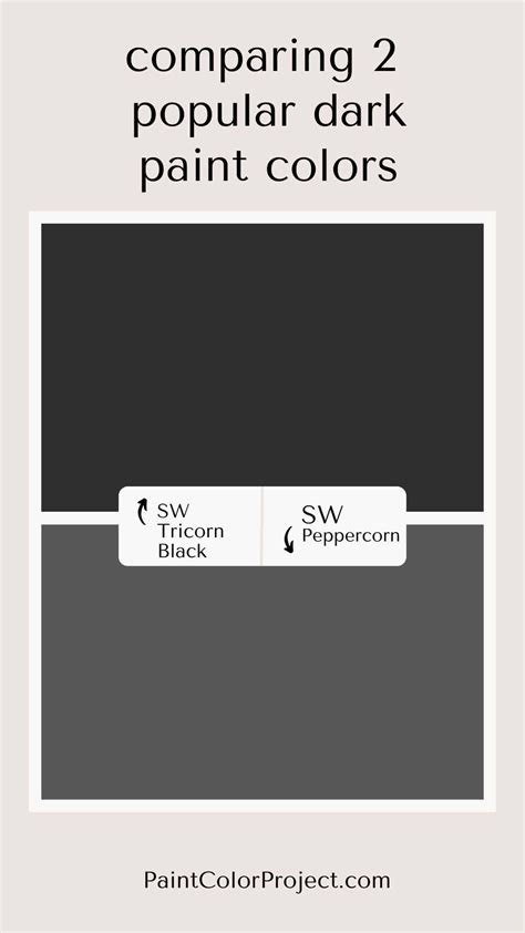 Sherwin Williams Tricorn Black: Complete Color Review - The Paint Color ...