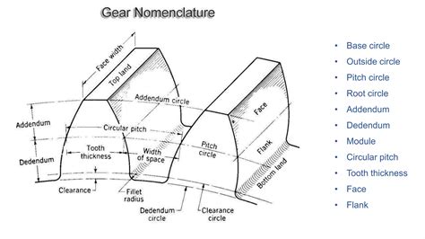 L6 measurement of gear tooth | PPTX