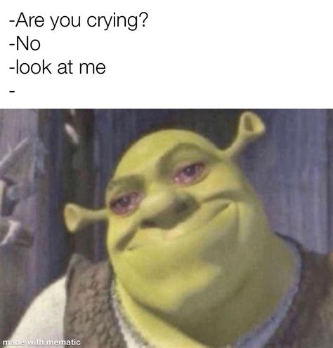 Smile Through The Pain Meme - basecampdiy