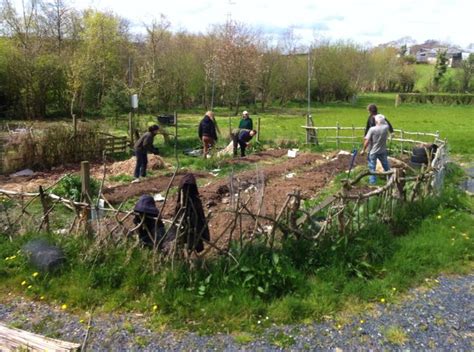 Community garden project | Community gardening, Garden projects, Community