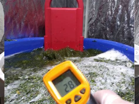 Image result for Making a Hash Washing Basin