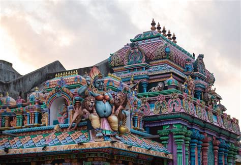 Culture in Sri Lanka 的图像结果