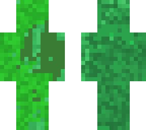 Image result for Cheeppickle Minecraft Skin