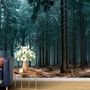 Personalised Wall Murals | Custom Wall Mural Design Online