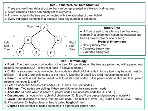 Data Structure Chart 的图像结果
