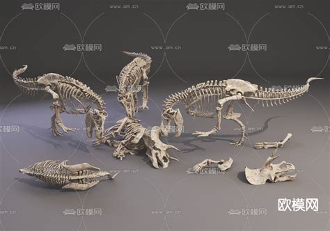 7700万年恐龙骨架化石预备进行拍卖 | 草根影響力新視野