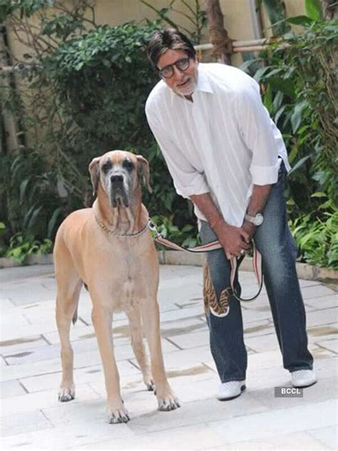 Bollywood megastar Amitabh Bachchan had a Piranha Dane named Shanouk