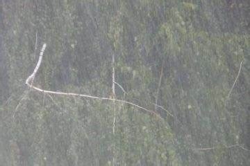 梦见下大雨 - 做梦梦到下大雨是什么意思 - 吉名屋