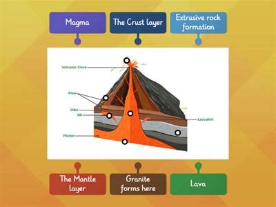 Fossil formation - Teaching resources