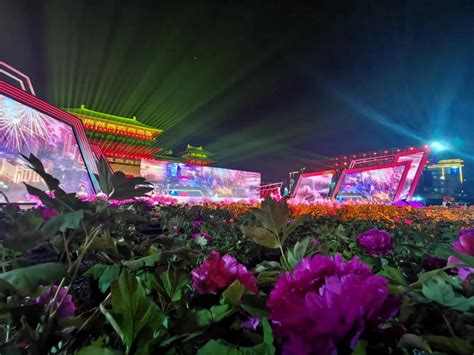 四月来洛阳赏牡丹，1200个品种花开满城香_中国