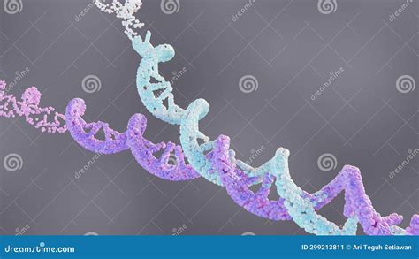 DNA Replication Forks Animation 的图像结果