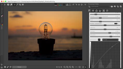 Image result for Raw Processing Software
