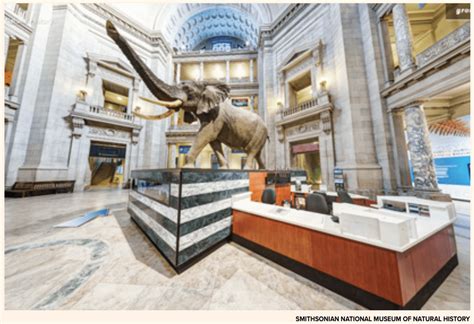 Keliling Museum Lewat Tur Visual - zetizen.com