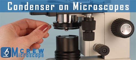 Image result for Condenser Microscope Function