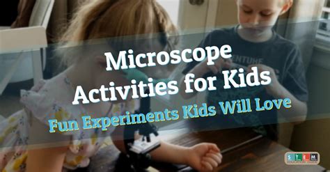 Scientific Method Experiments Examples 的图像结果