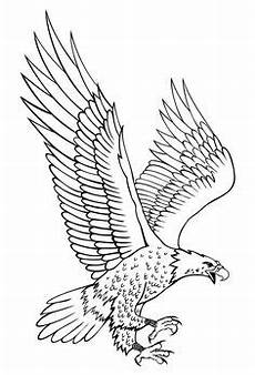 quiver malvorlagen adler malvorlage gratis ausmalbilder ausmalbilder quiver malvorlagen adler malvorlage gratis ausmalbilder ausmalbilder