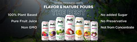 Dadu Fresh – 100% Natural Fruit Juices, No Added Sugar