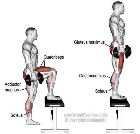 Dumbbell step-up exercise instructions and video | Weight Training Guide | Step up workout ...