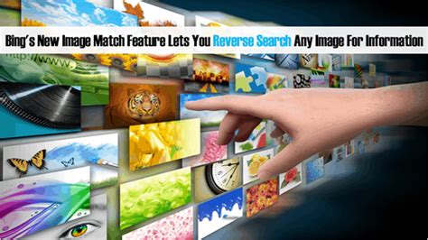 Bing Image Match Search 的图像结果