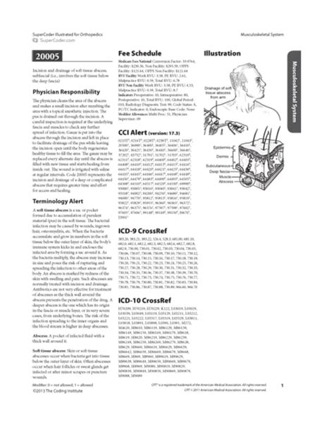 Medical Coding Orthopedics Tutorial 的图像结果