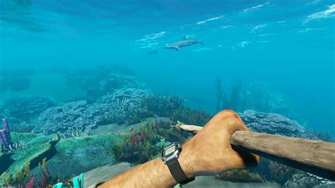 Image result for Stranded Deep Basics